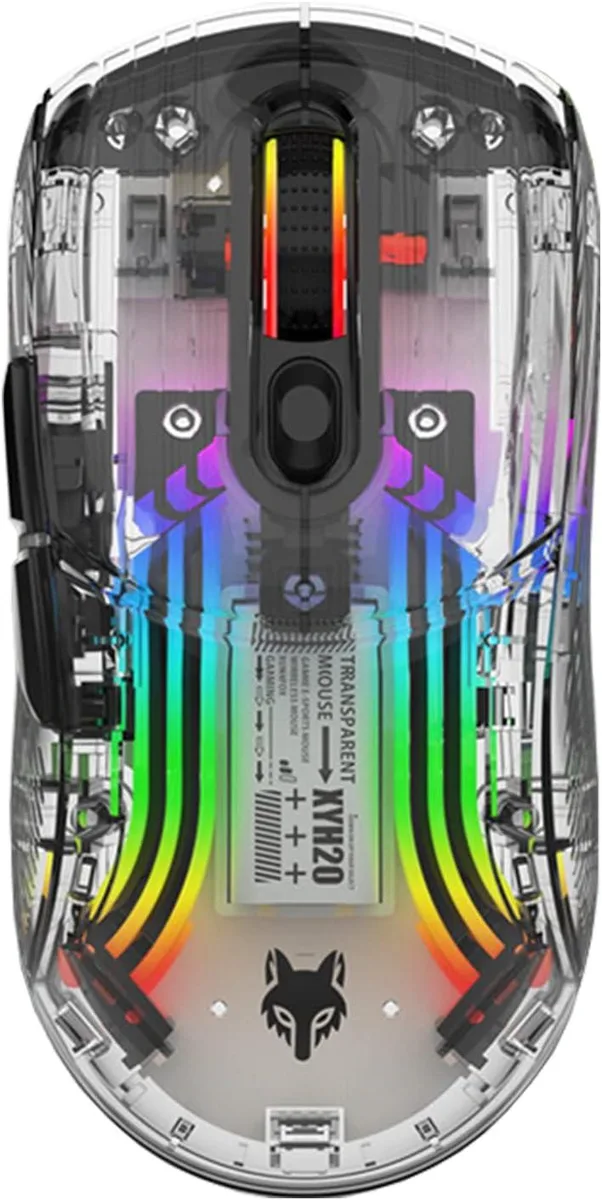 Black transparent-shell gaming mouse with RGB lighting, ergonomic shape, six buttons, USB receiver, 110 g