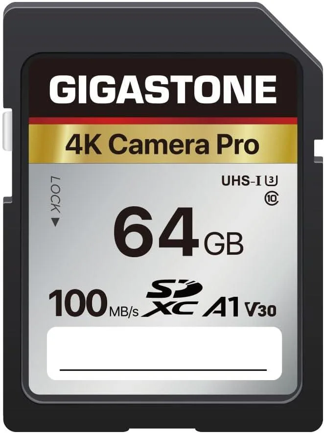 Gigastone Corporation Gigastone 64GB SDXC V30 UHS-I 100MB/s memory card — 商品写真