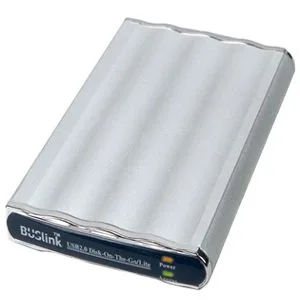 Buslink Corporation Buslink Corporation DL-250-U2 250GB portable hard drive — תמונת המוצר