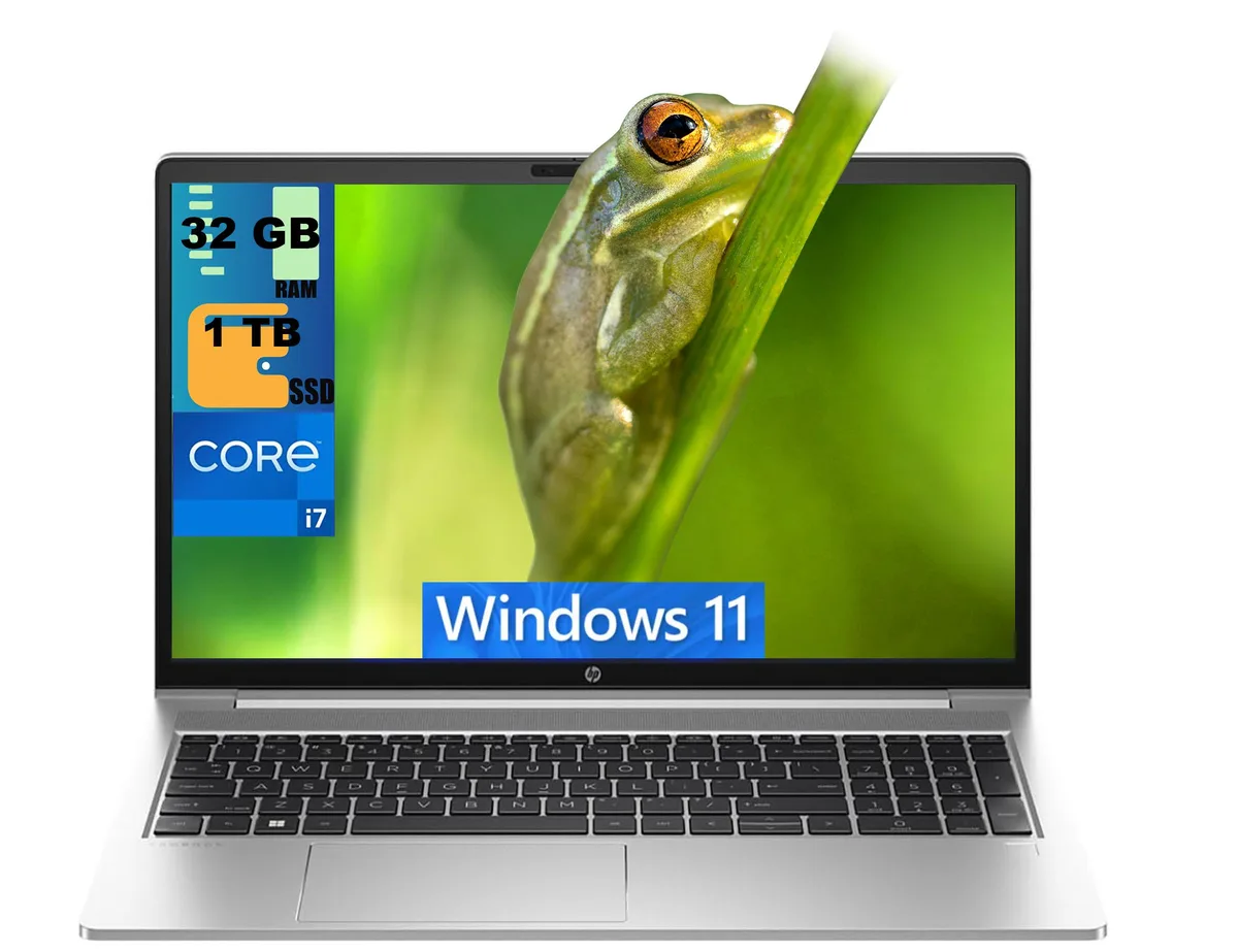 HP HP ProBook 450 G10 15 laptop i7-1355U 32GB 1TB Silver — photo du produit