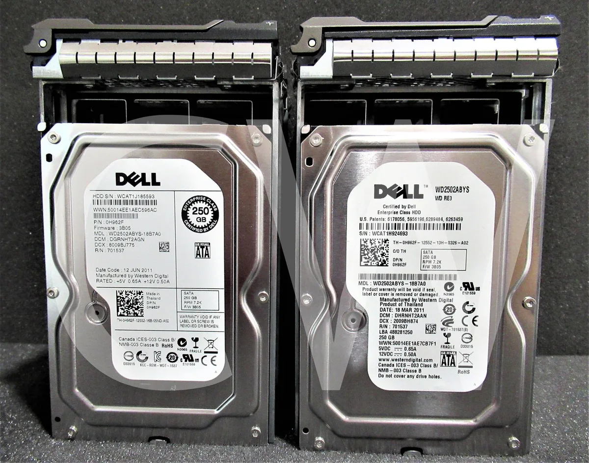 Silver 3.5 inch SATA hard drive with black Dell caddy tray