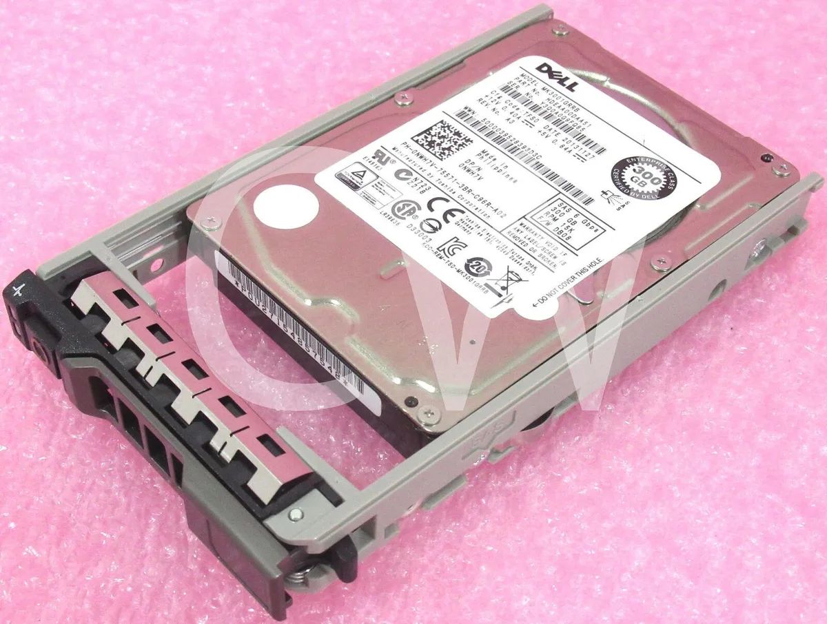 Small silver 2.5 inch SAS hard drive with black Dell caddy tray