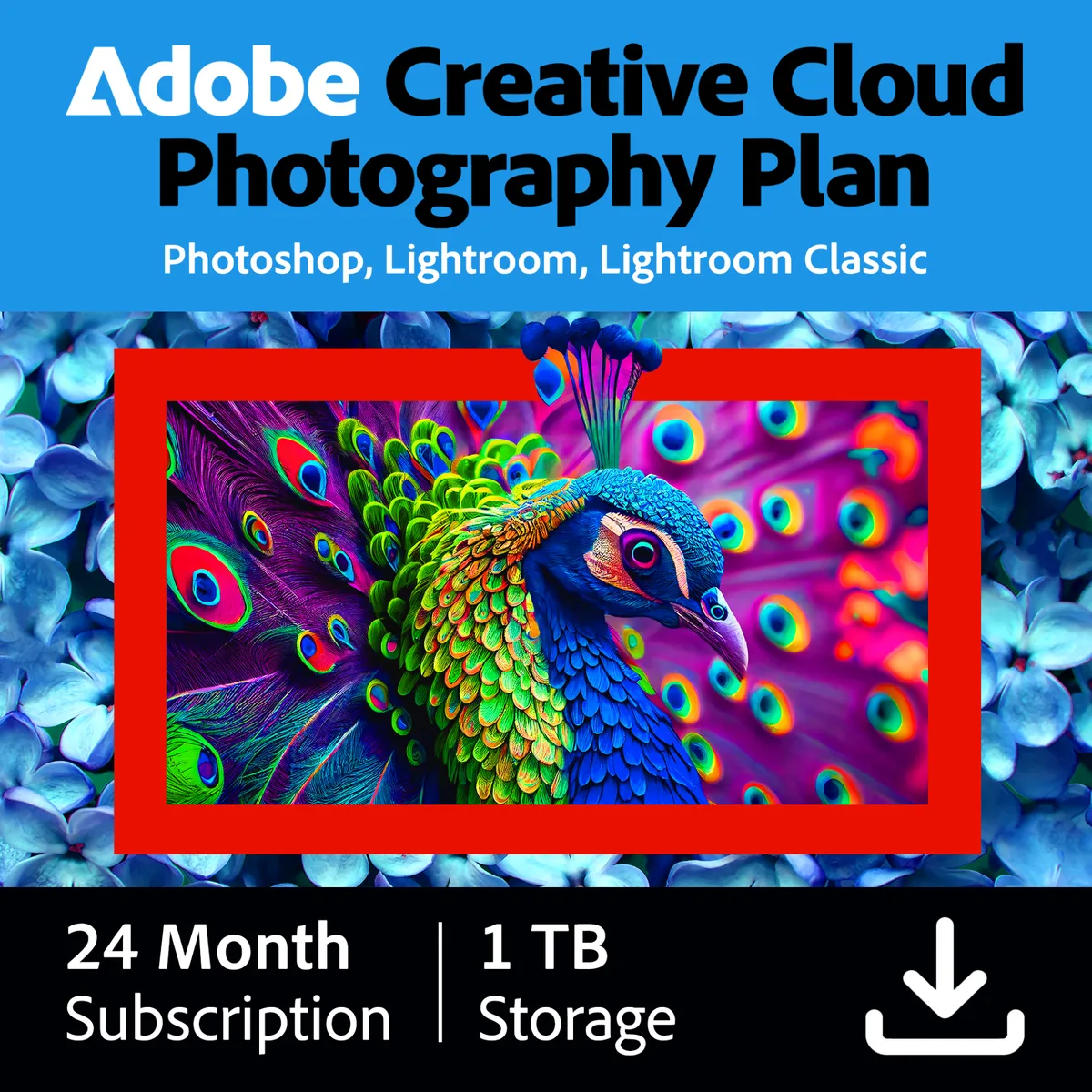 Adobe Adobe 30017088 Creative Cloud Photography plan 1TB 24 Month photo — fotografia produktu