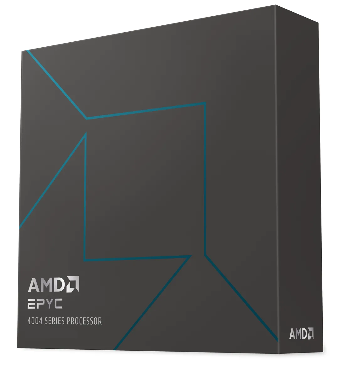AMD AMD EPYC 4344P 8-Core 3.8 GHz 65W Server Processor 100-100001479WOF — photo du produit