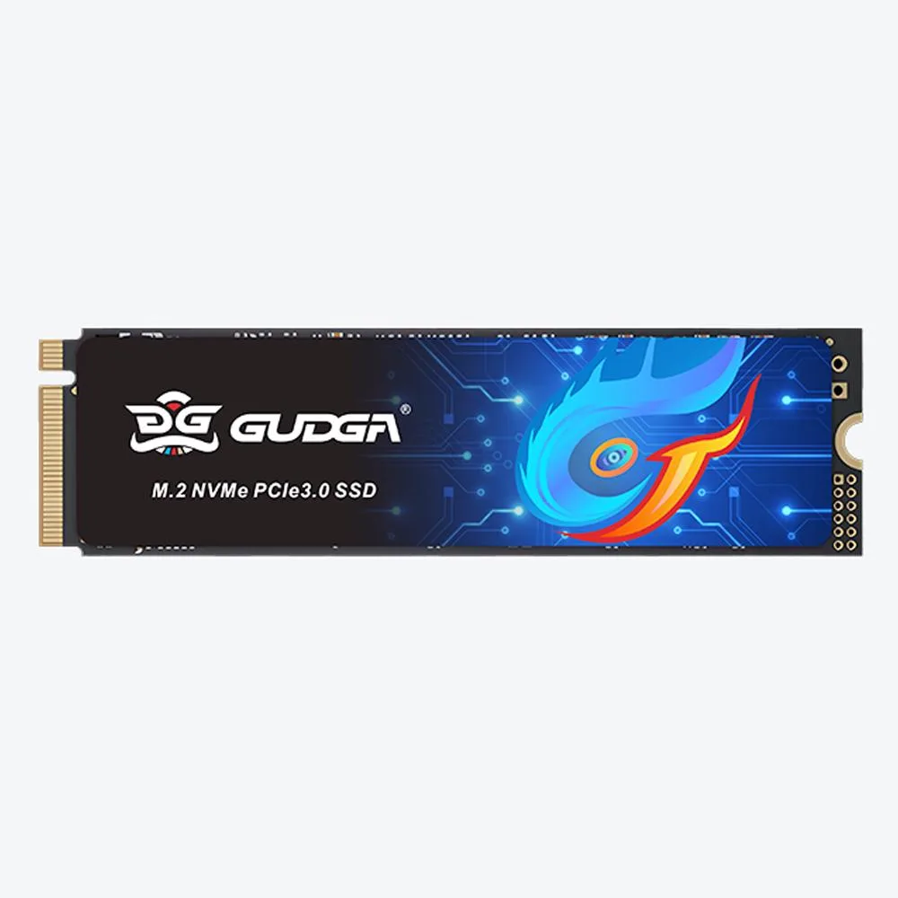 GUDGA GUDGA M.2 2280 NVMe 512GB internal SSD — photo du produit