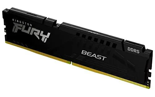Black rectangular DDR5 DIMM with low-profile heat spreader, 288 gold pins visible along bottom edge