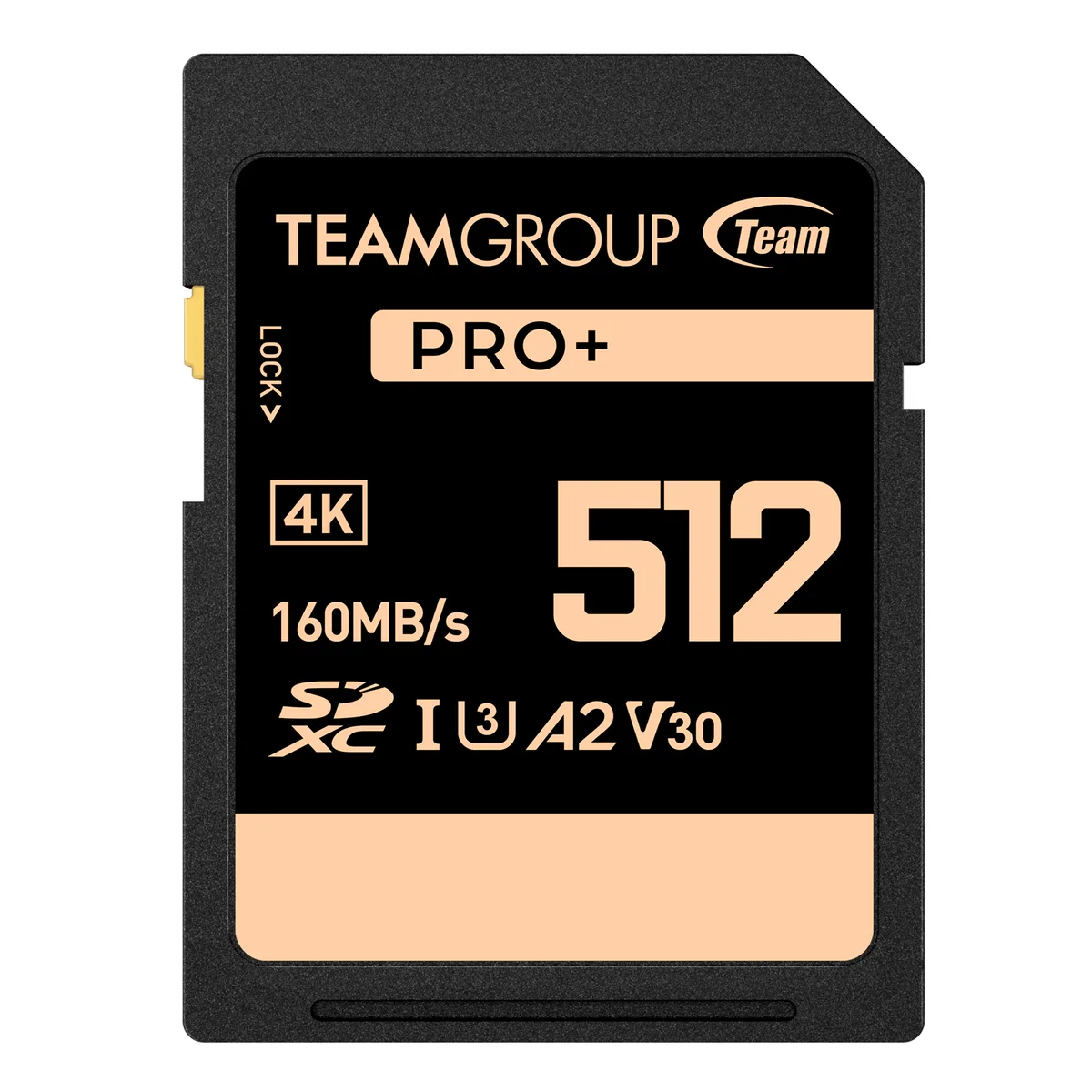 Team Group Team Group TPPSDX512GIA2V3001 512GB SDXC memory card — product photo