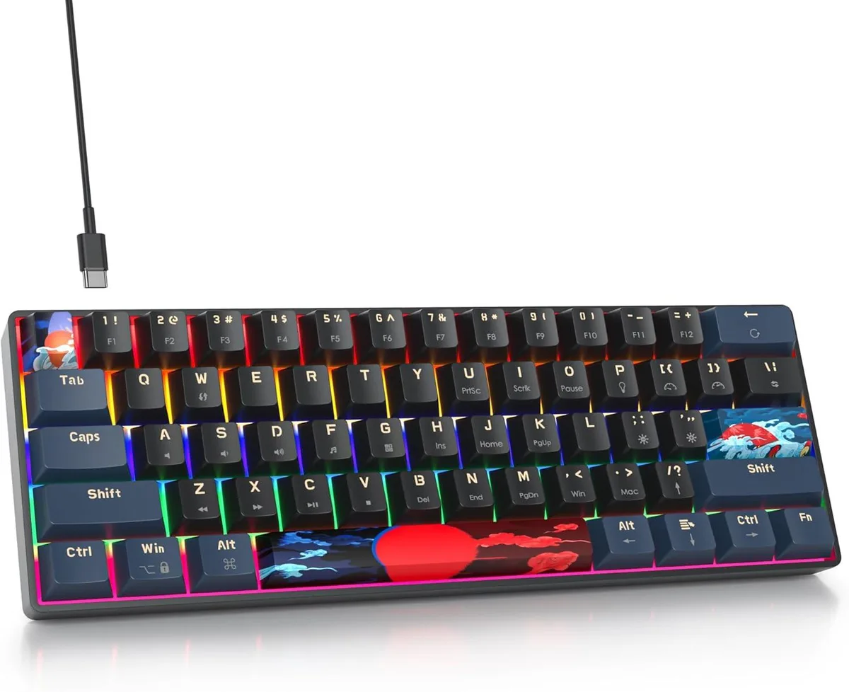 Compact 61-key wired mechanical keyboard with rainbow LED backlighting and PBT keycaps