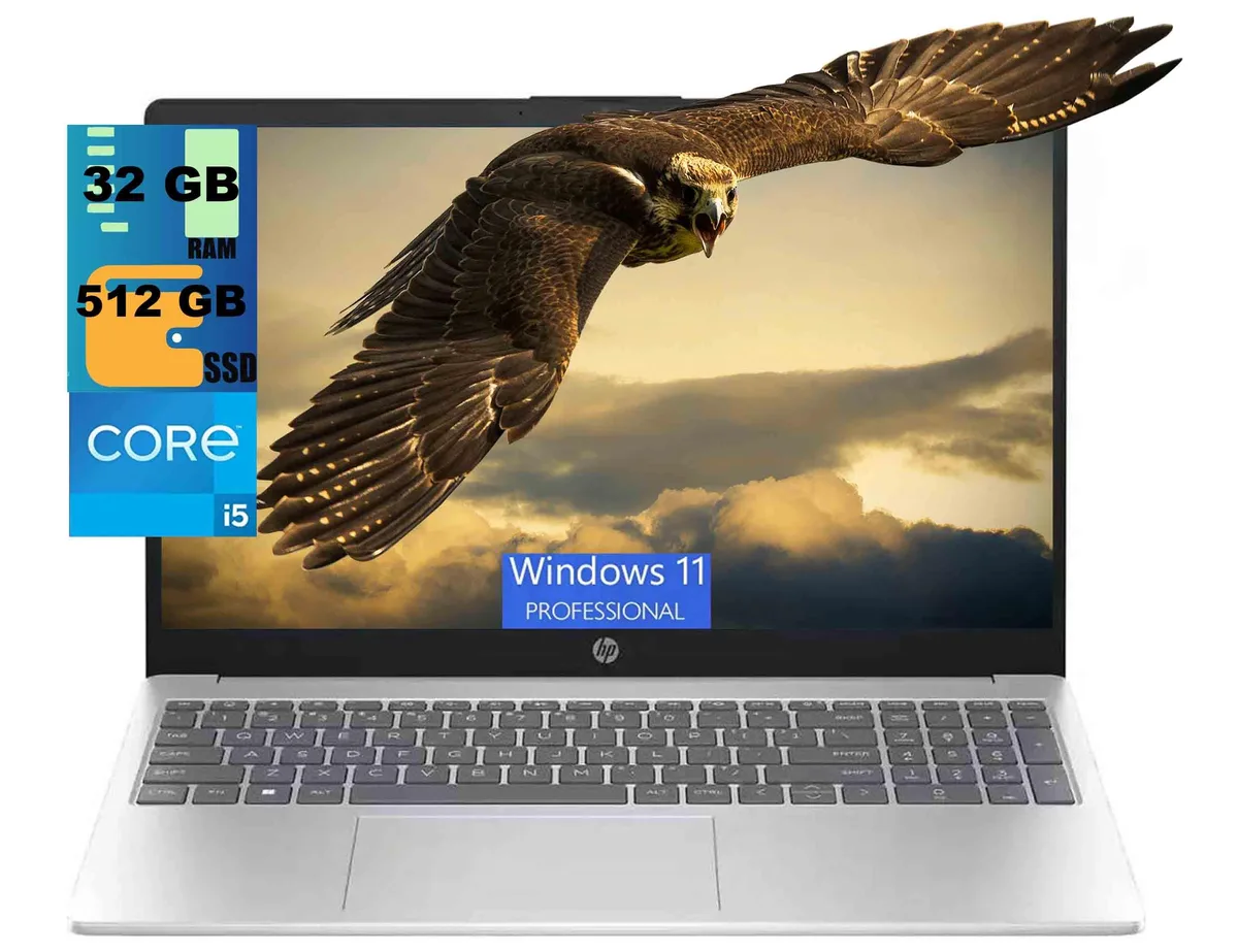 Silver 15.6 inch laptop, thin profile, non-touch FHD screen, no backlit keyboard