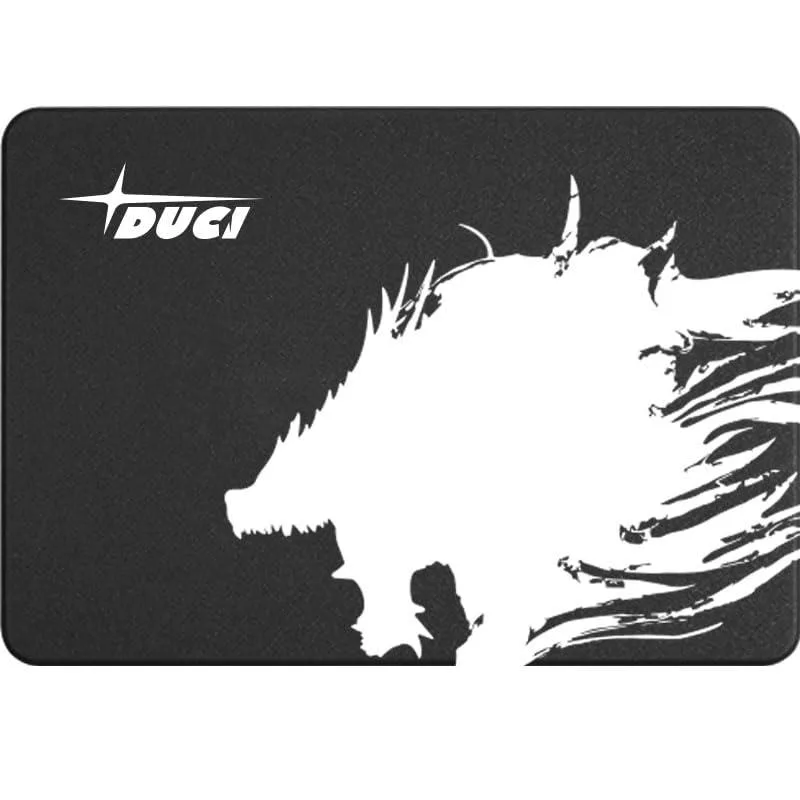 DUCI DUCI 256GB 2.5-inch SATA internal SSD — product photo