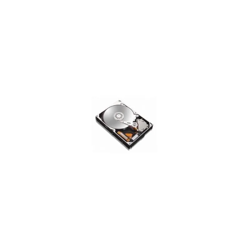 DELL DELL W0109 80 GB Sata 3.5 inch hard drive — product photo