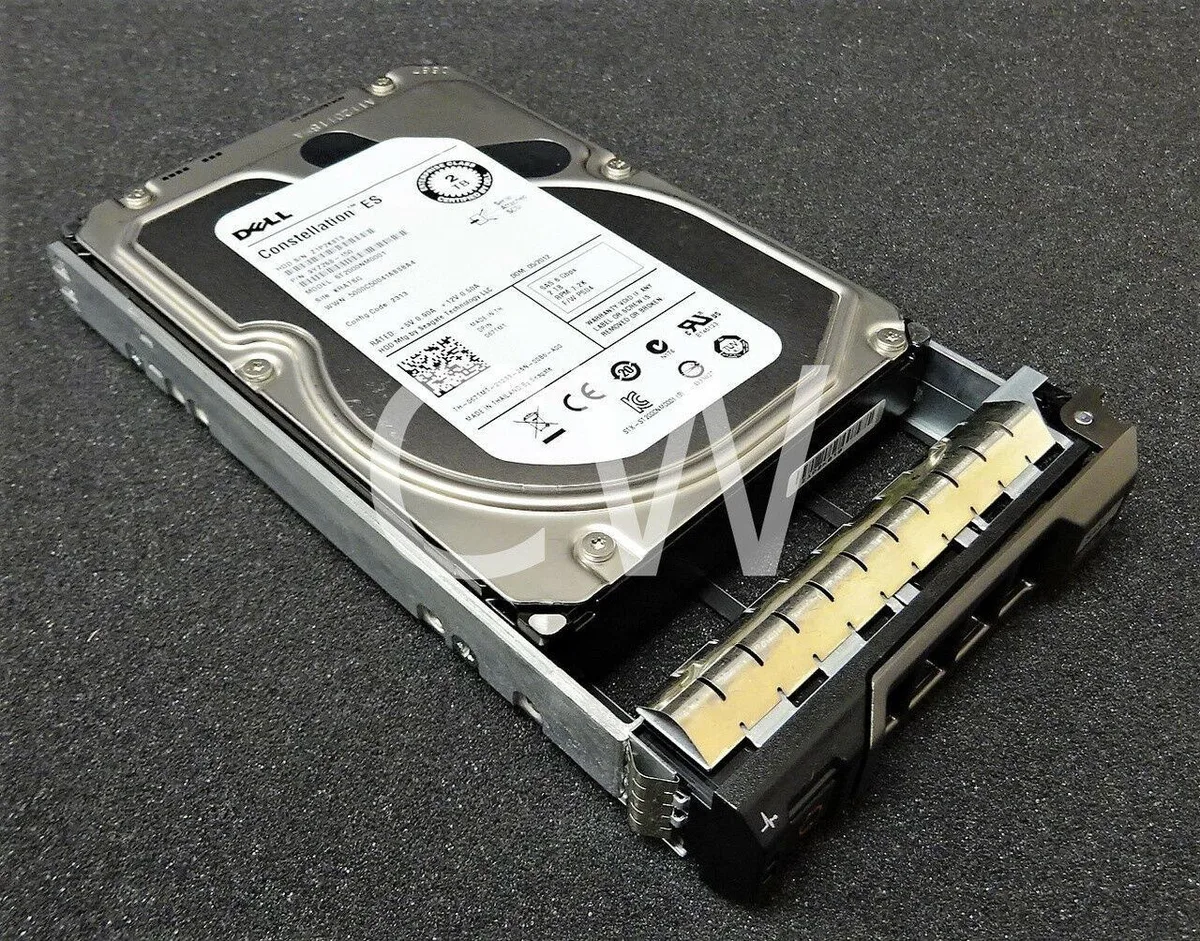 Silver 3.5 inch SAS hard drive with black Dell caddy tray