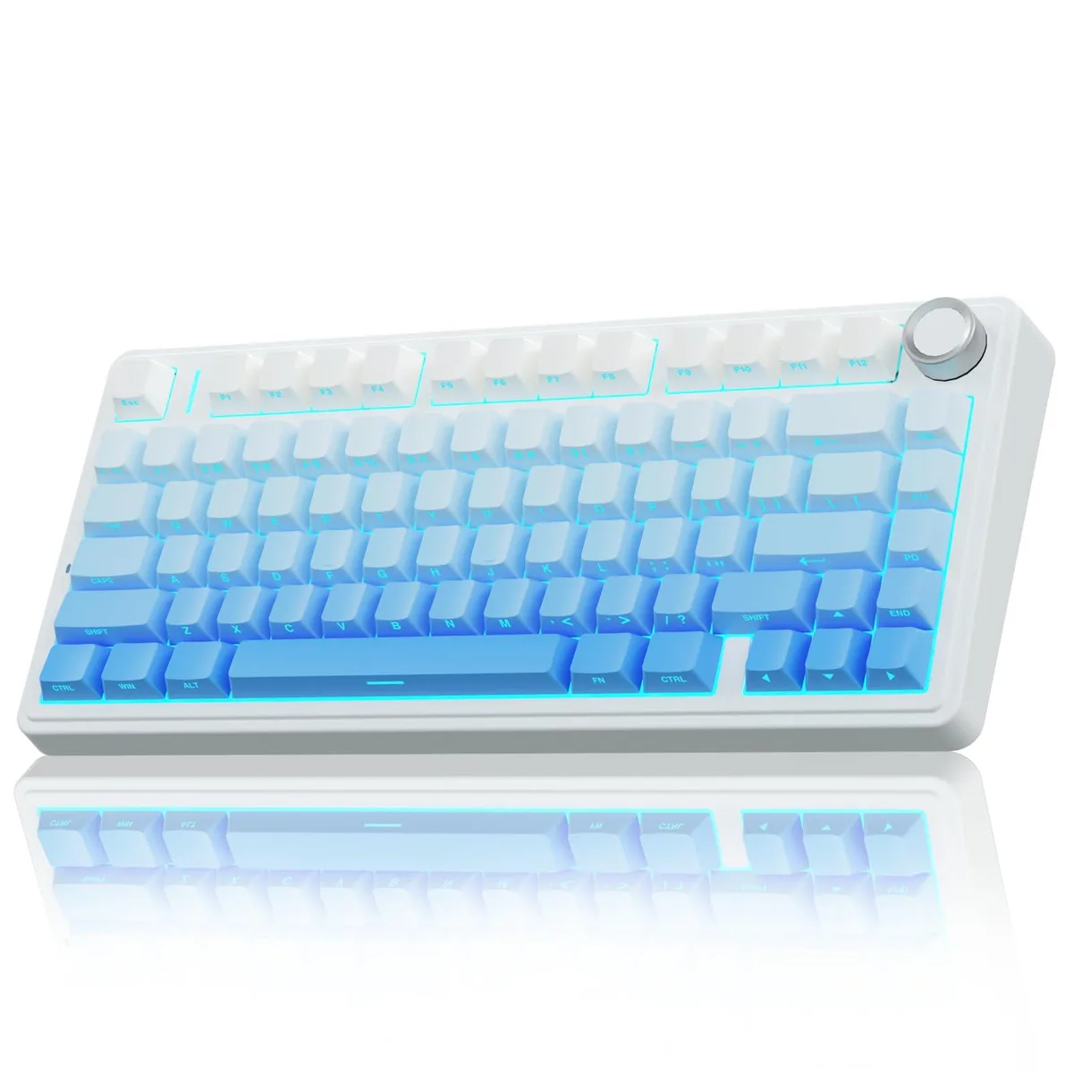 Compact 75% mechanical keyboard in gradient blue plastic with side-printed PBT keycaps and a rotary knob