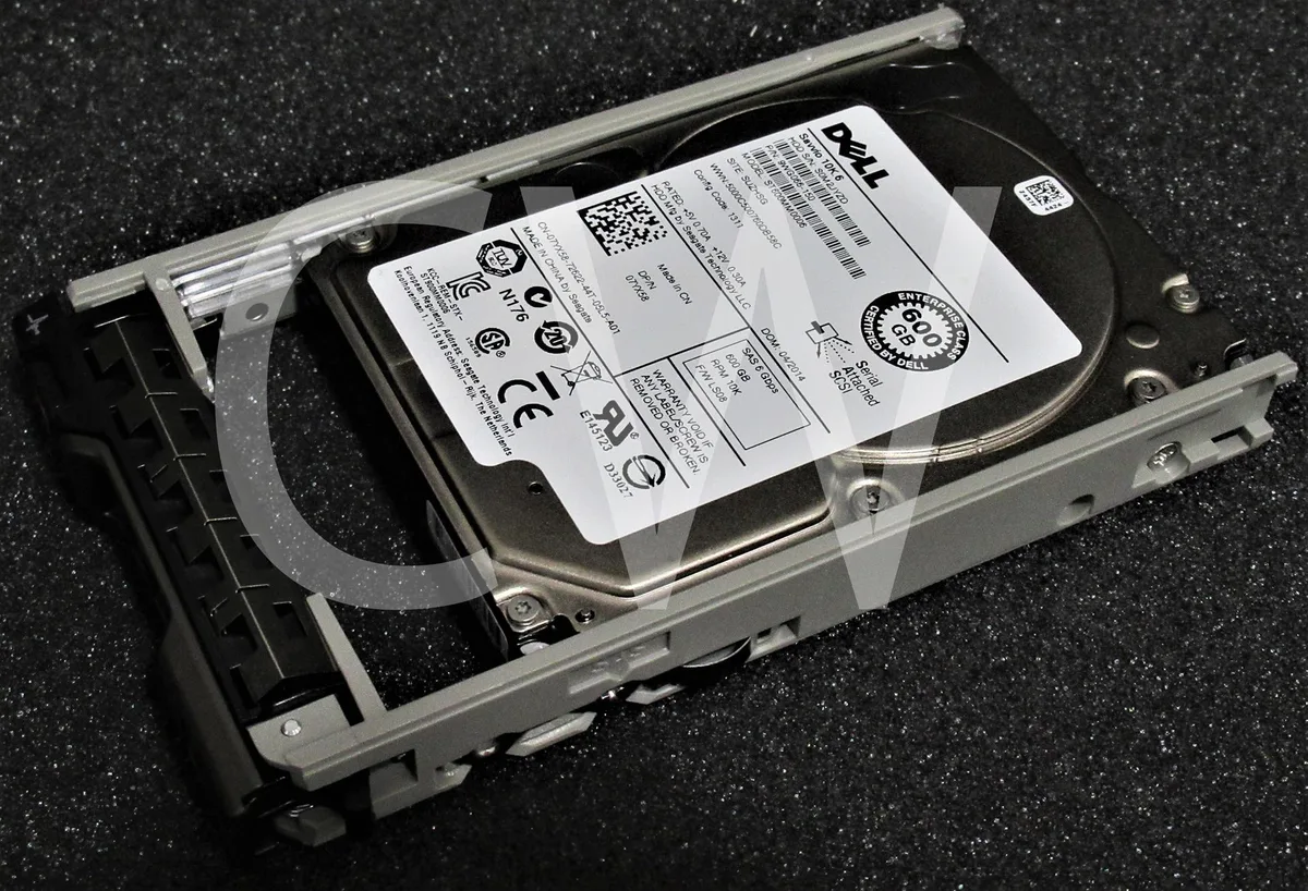 Silver 2.5 inch SAS hard drive mounted in black Dell PowerEdge server caddy tray