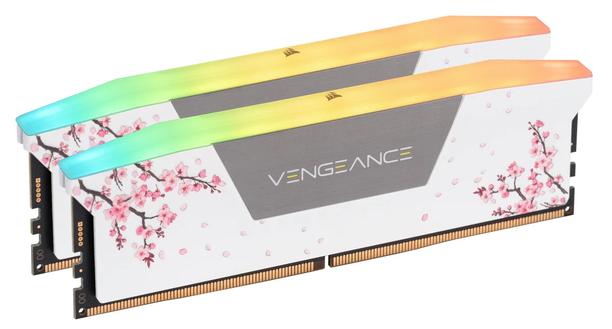 Two white DDR5 memory sticks with RGB light bars