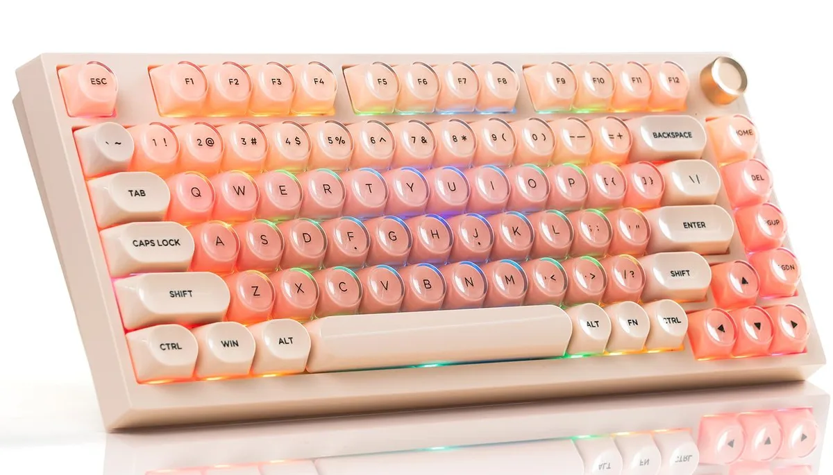 costom costom SK65 75% Wireless Mechanical Gaming Keyboard Pink — photo du produit