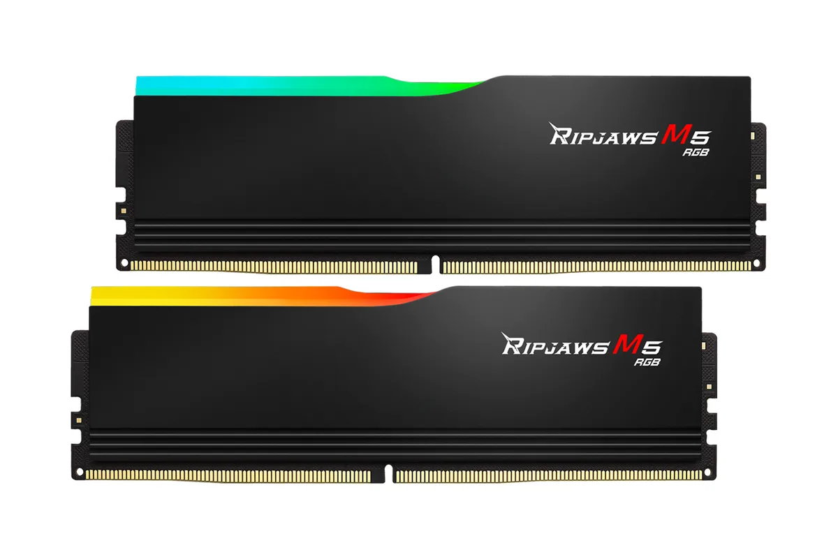 Two black DDR5 modules with matte aluminium heatspreaders and RGB light bars