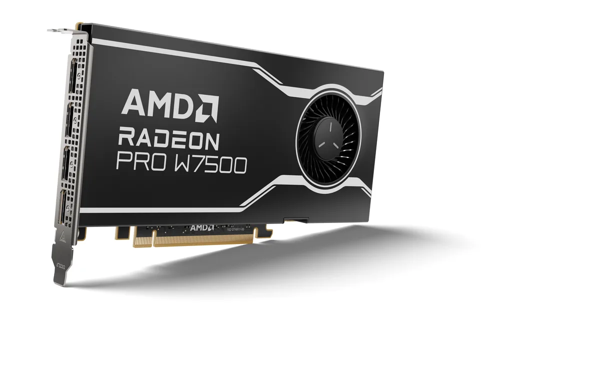 AMD AMD Radeon Pro W7500 100-300000078 8GB 128-bit GDDR6 workstation graphics card — photo du produit