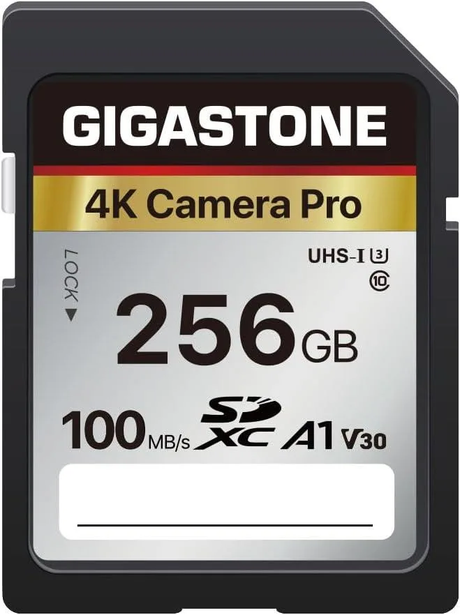 Gigastone Corporation Gigastone Corporation 256GB SDXC 4K Camera Pro memory card — 商品写真