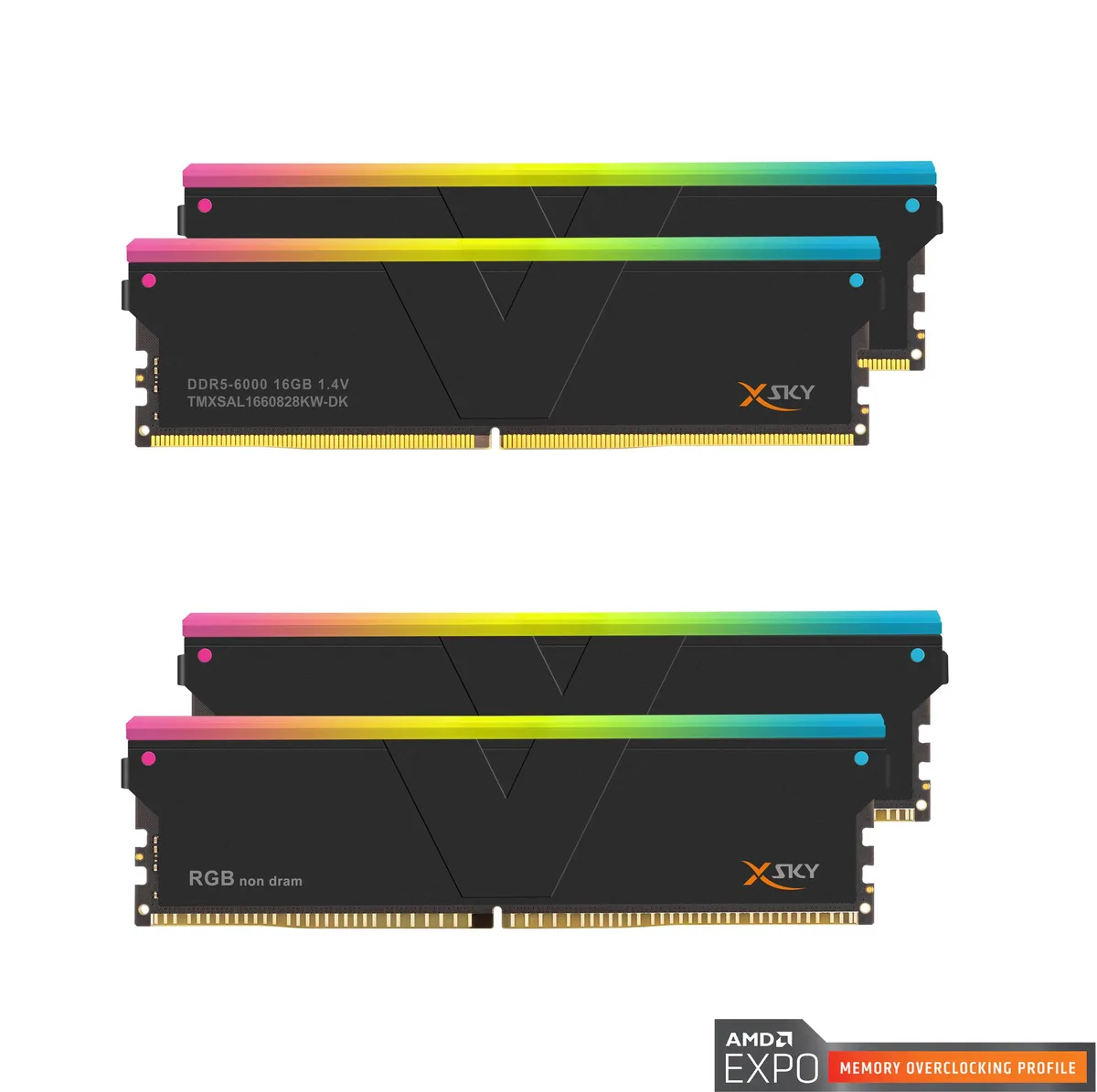 Two black DDR5 memory modules with RGB heatsinks and two matching filler modules