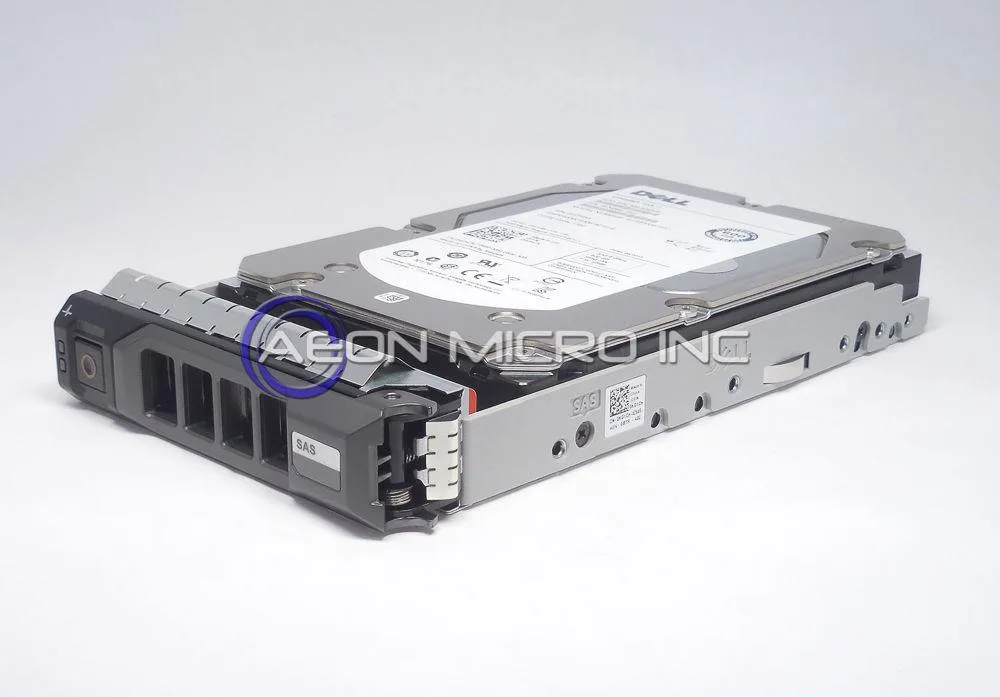 Silver 3.5-inch SAS hard drive in a black Dell Gen 13 tray