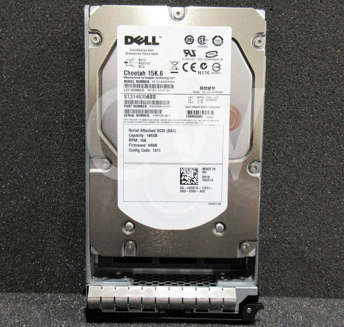 Silver 3.5 inch SAS hard drive in black Dell R-series caddy tray