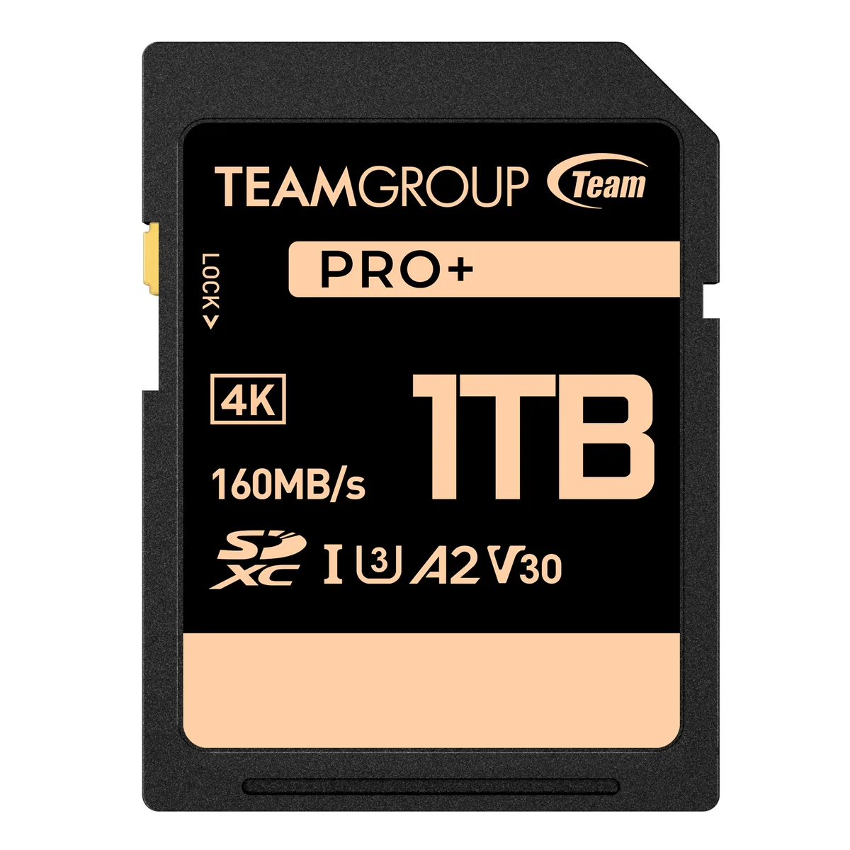 Team Group Team Group TPPSDX1TIA2V3001 1TB PRO+ SDXC U3 V30 A2 memory card — product photo