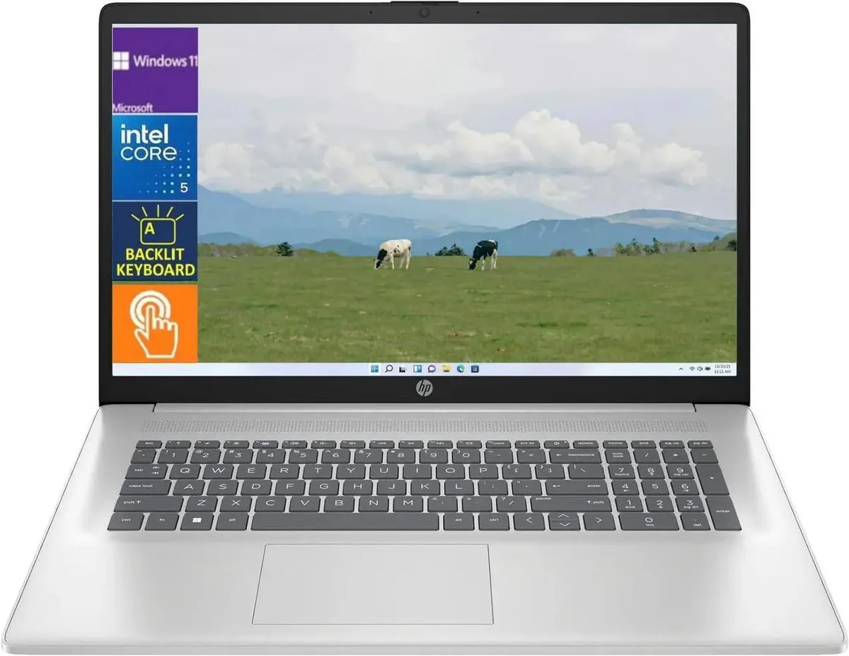 HP HP 17.3" HD+ Touch Laptop Intel Core 5 120U 64GB DDR4 1TB SSD Windows 11 Home Natural Silver — photo du produit