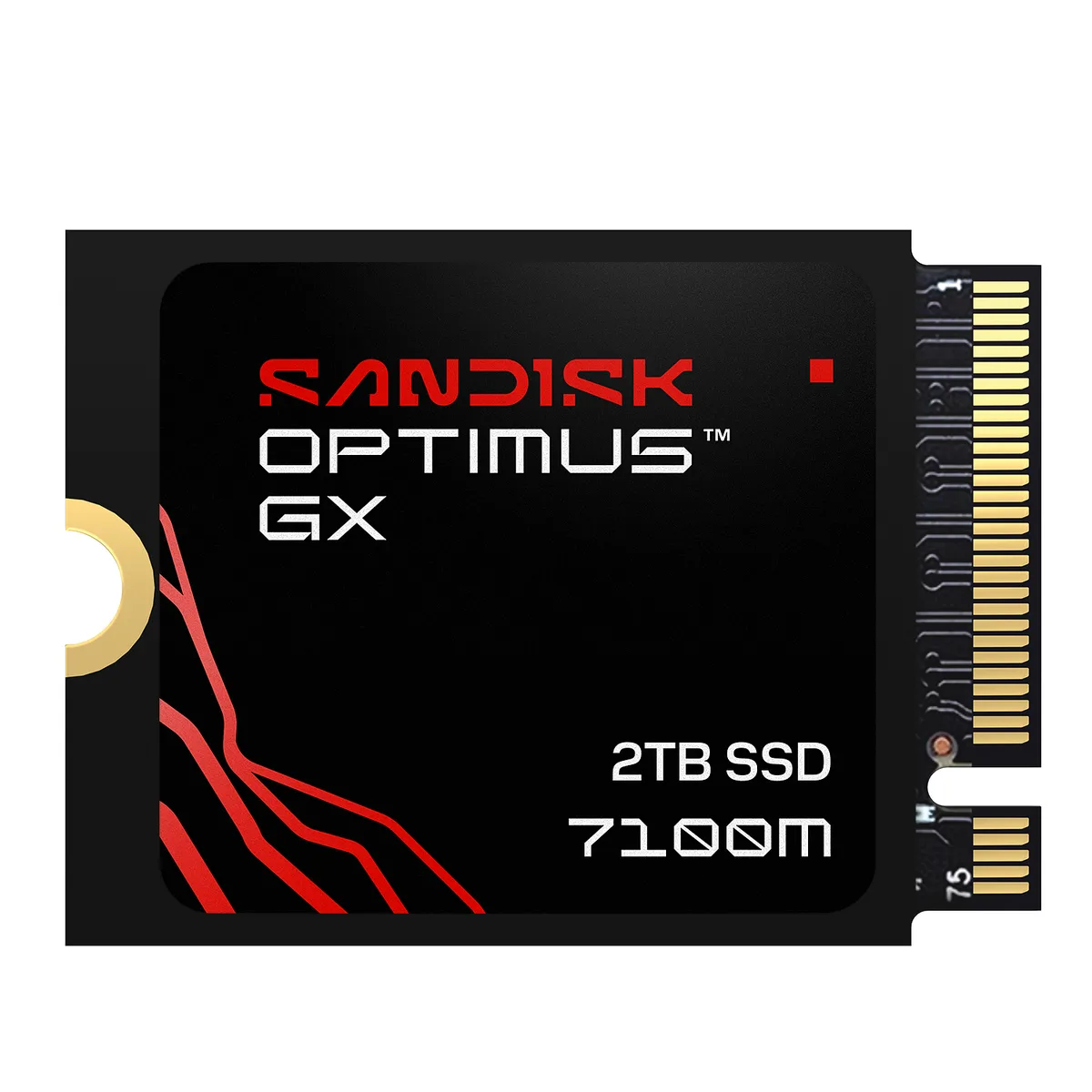 Small green circuit board, 22 by 30 millimetres, no heatsink, gold edge connector, black controller and NAND chips