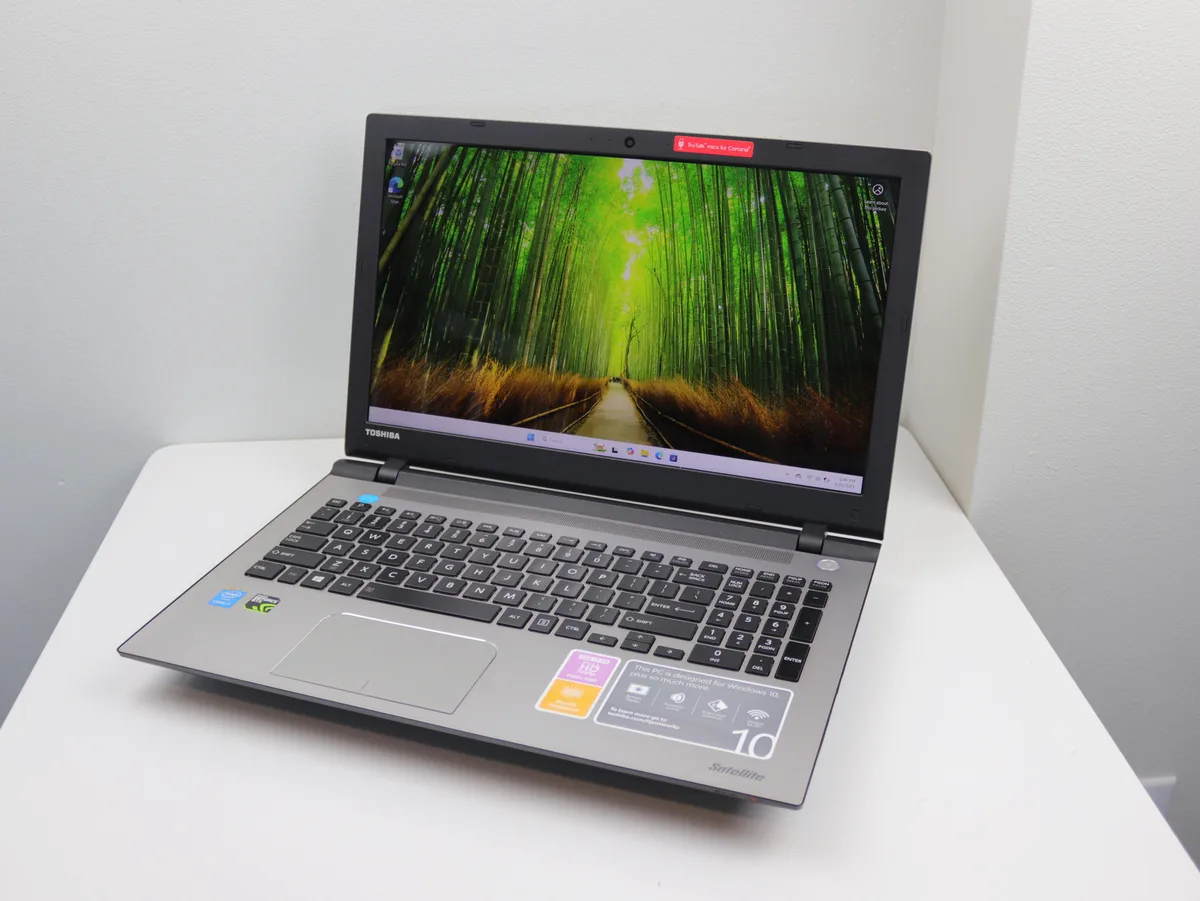 Silver 15.6 inch laptop with TruBrite Full HD display and DVD drive