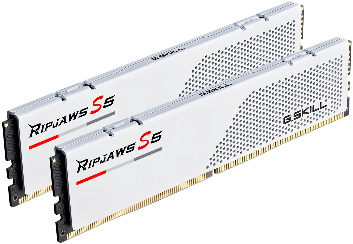G.SKILL G.SKILL F5-5600J4040C16GX2-RS5W 32GB DDR5 desktop RAM — product photo