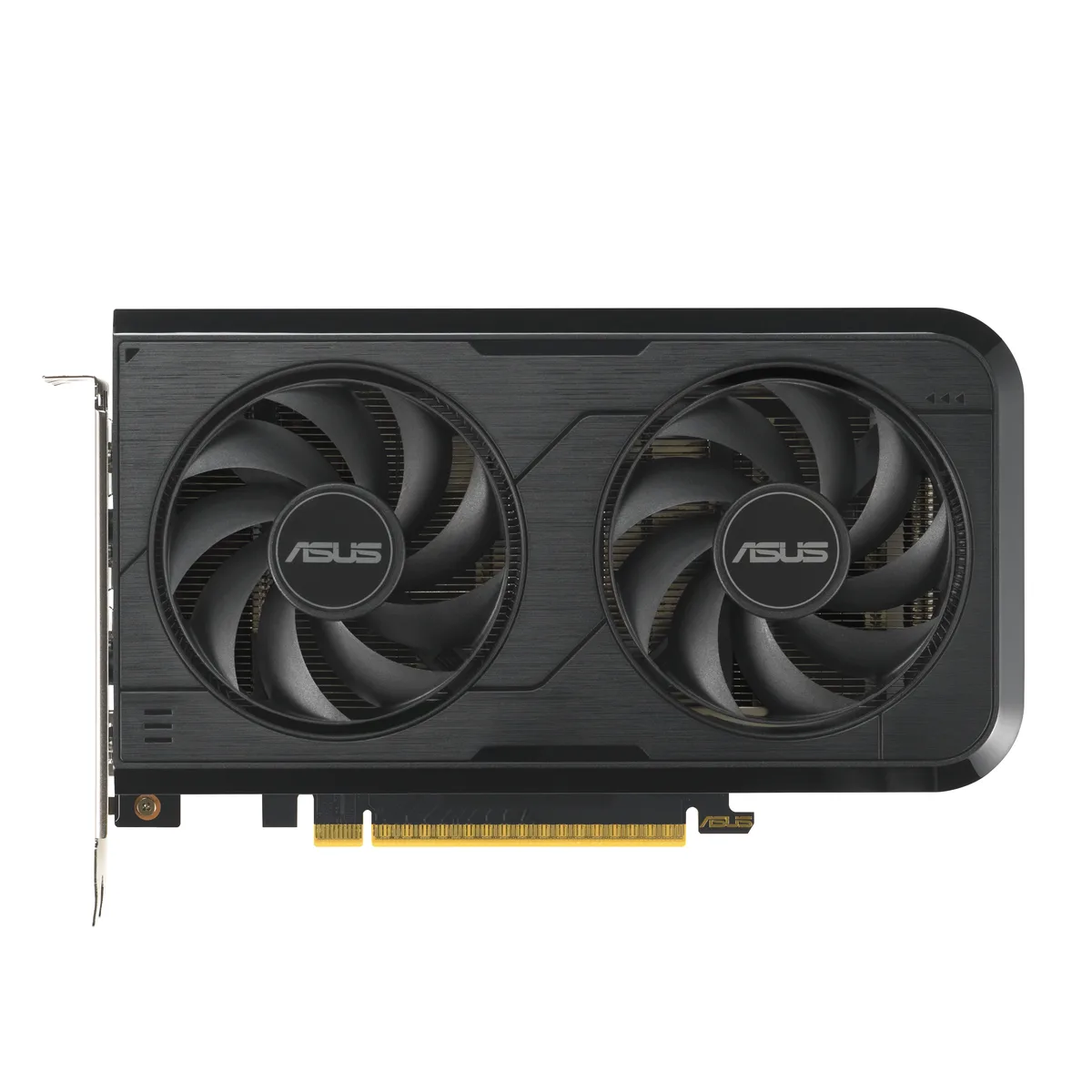 ASUS ASUS DUAL-RTX5050-O8G GeForce RTX 5050 graphics card — product photo