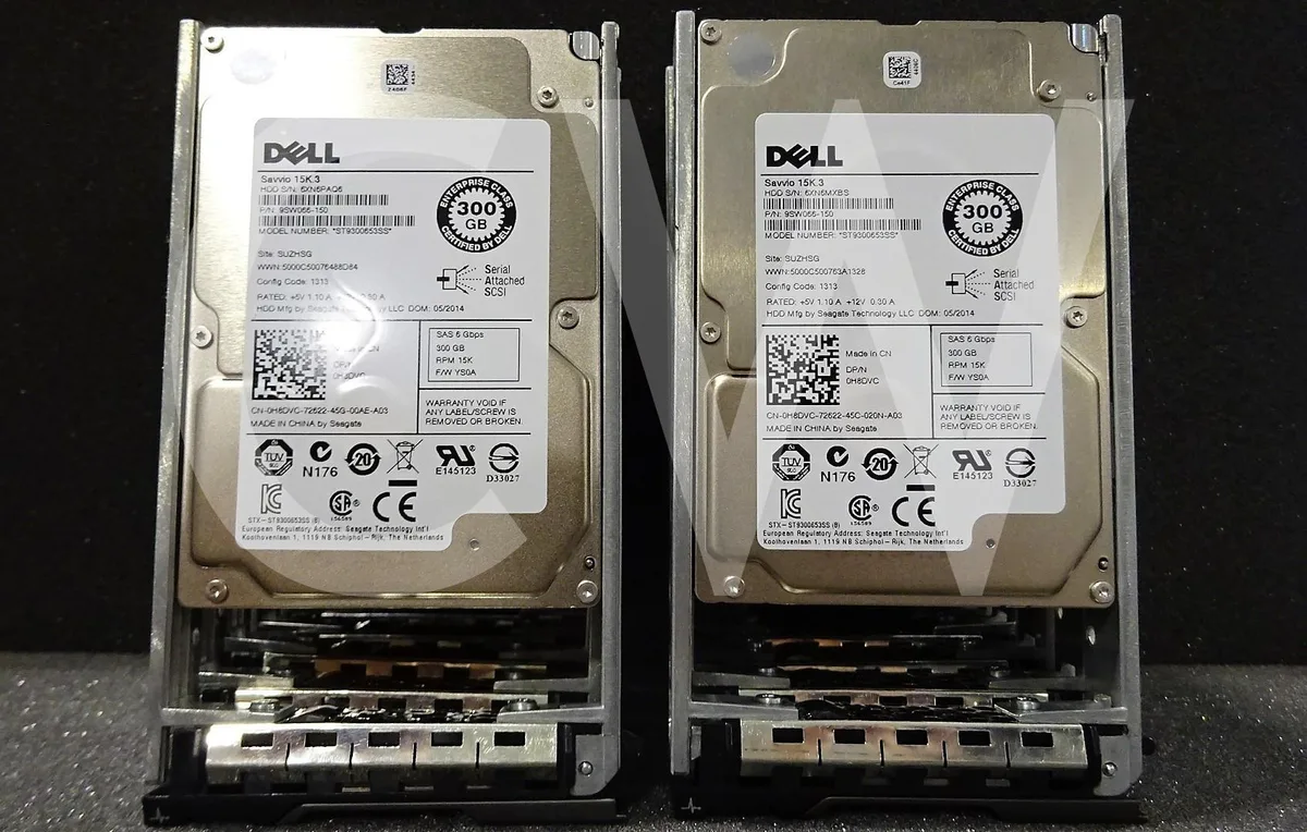 Ten silver 2.5 inch SAS drives in black caddies