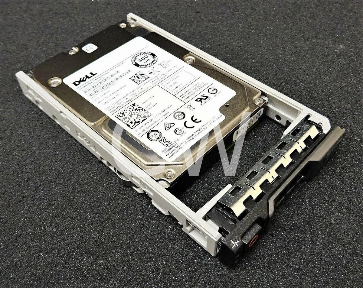 Silver 2.5 inch SAS hard drive mounted in black server caddy
