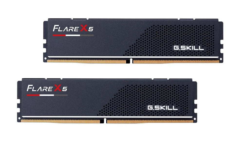 Two matte black low-profile DDR5 memory modules with racing-stripe heatsinks