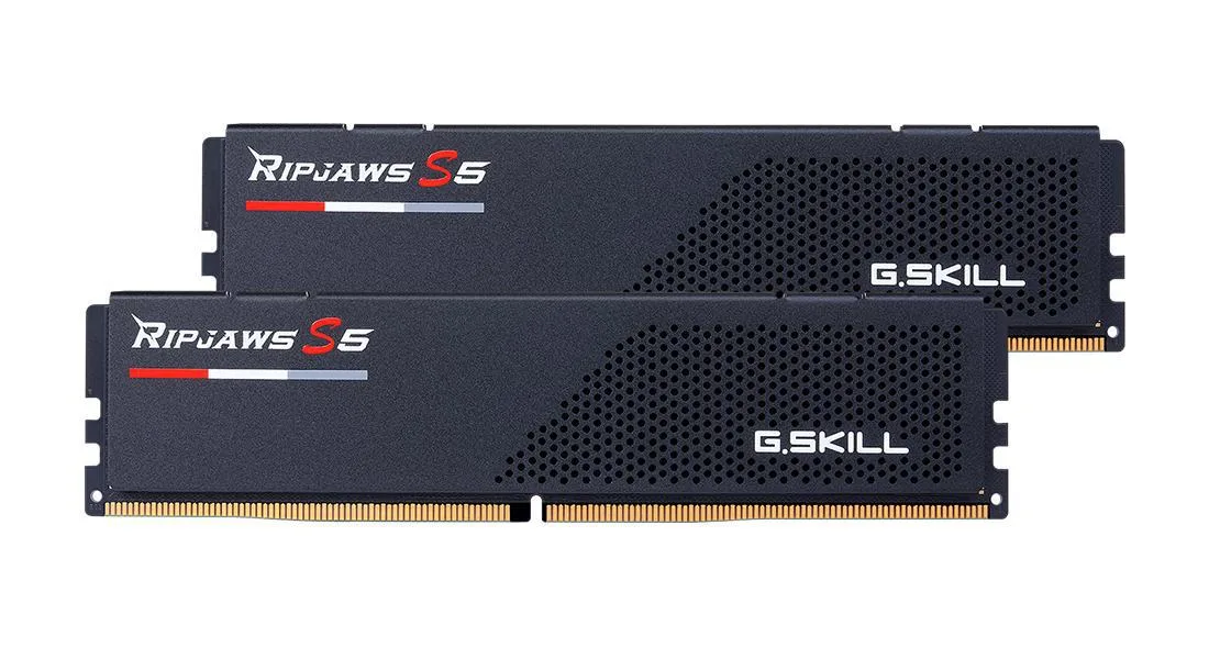 Two black DDR5 DIMMs with low-profile heatsinks, 288-pin