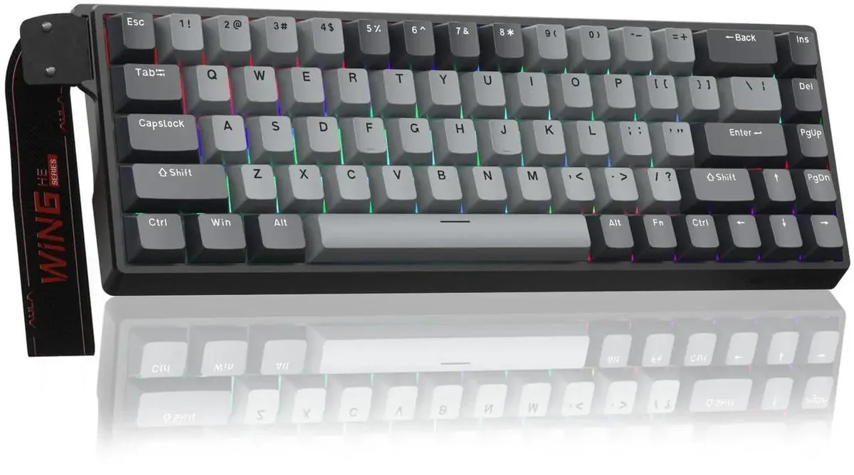 Compact 60% wired keyboard, dark matte finish, RGB backlit keycaps, USB cable attached