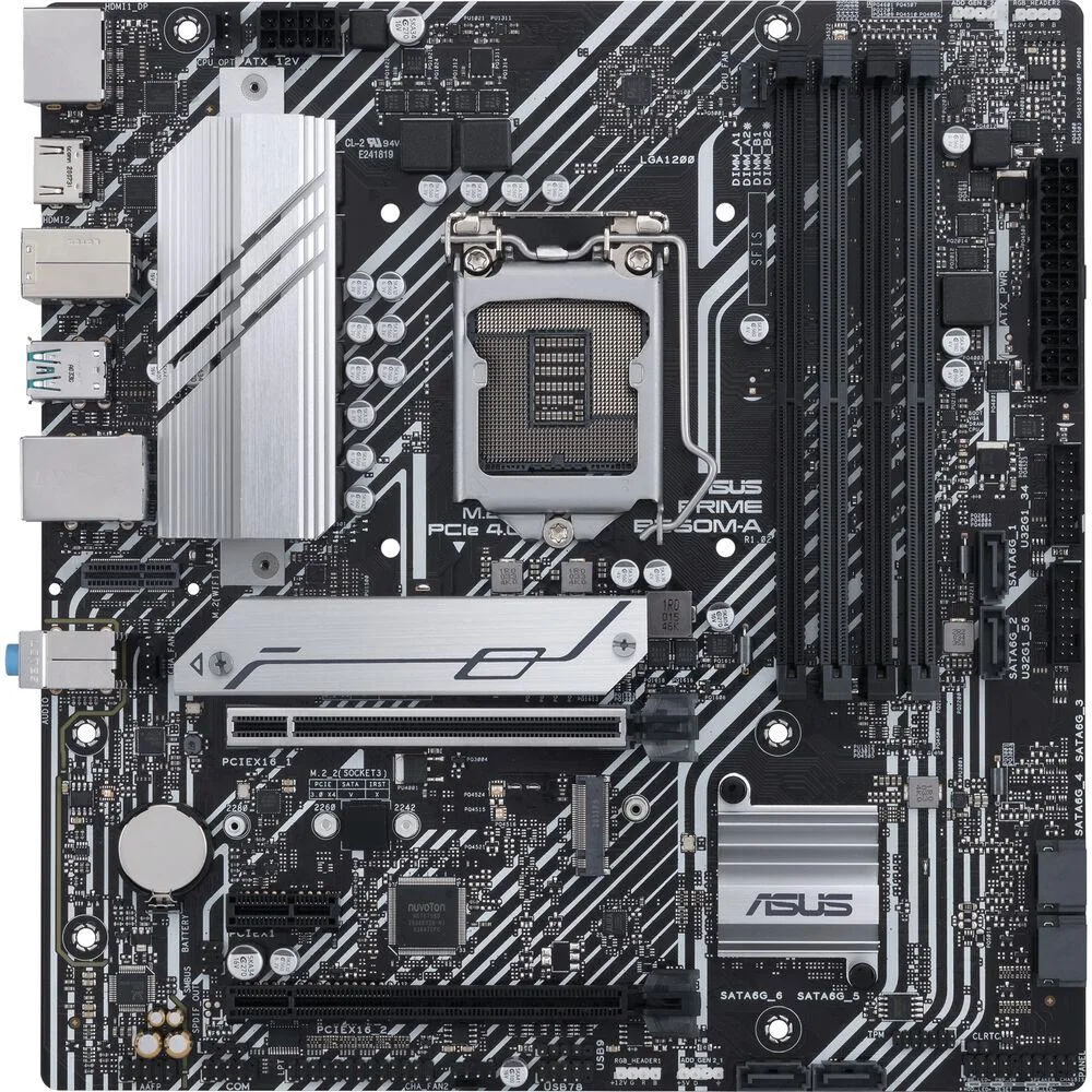 Green MicroATX motherboard with silver LGA 1200 socket, black PCIe x16 slot, two M.2 slots, rear DisplayPort and USB 3.1 Type-A