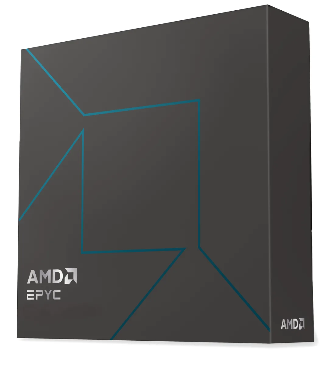 AMD AMD EPYC 4465P 12-core 65W server processor 100-100001558WOF — photo du produit