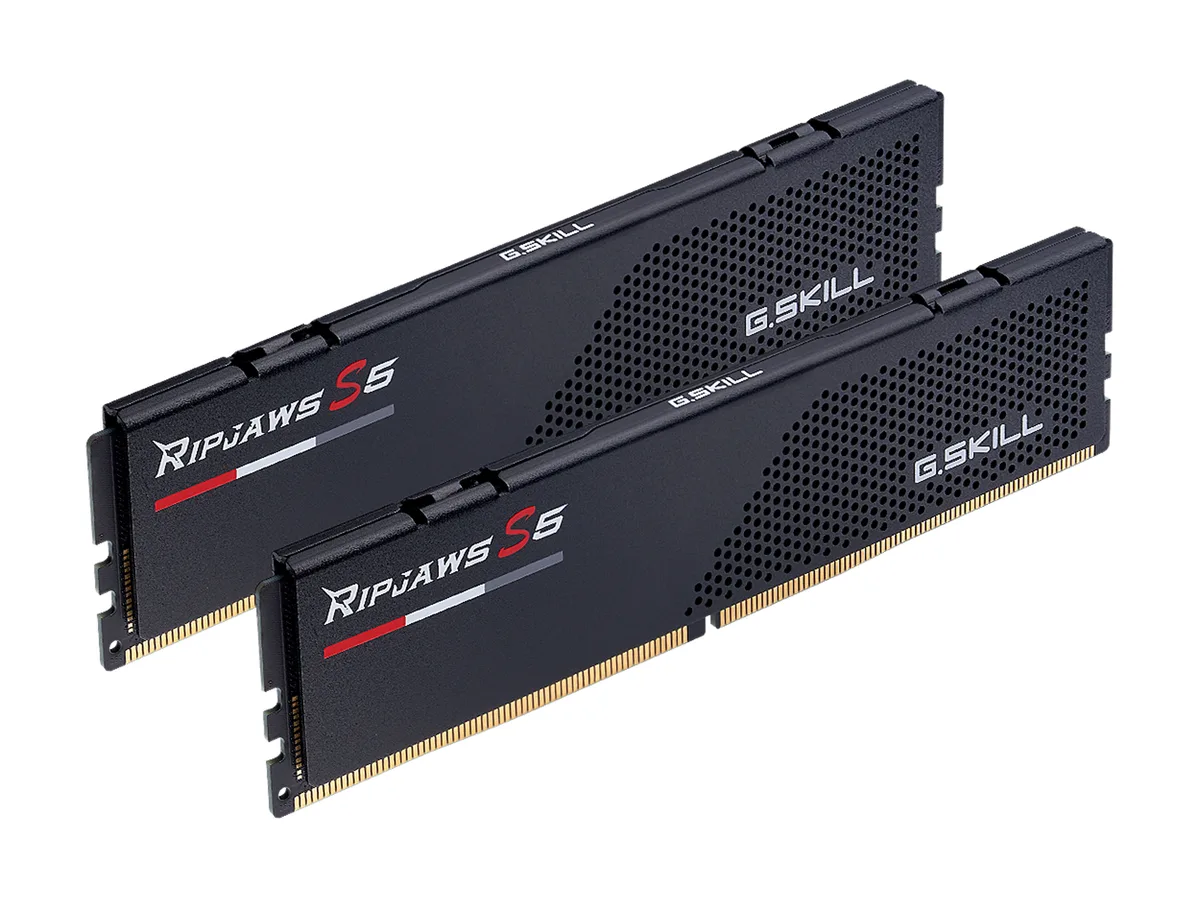 G.SKILL G.SKILL F5-5200J4040A16GX2-RS5K 32GB (2 x 16GB) DDR5 5200 desktop RAM — product photo
