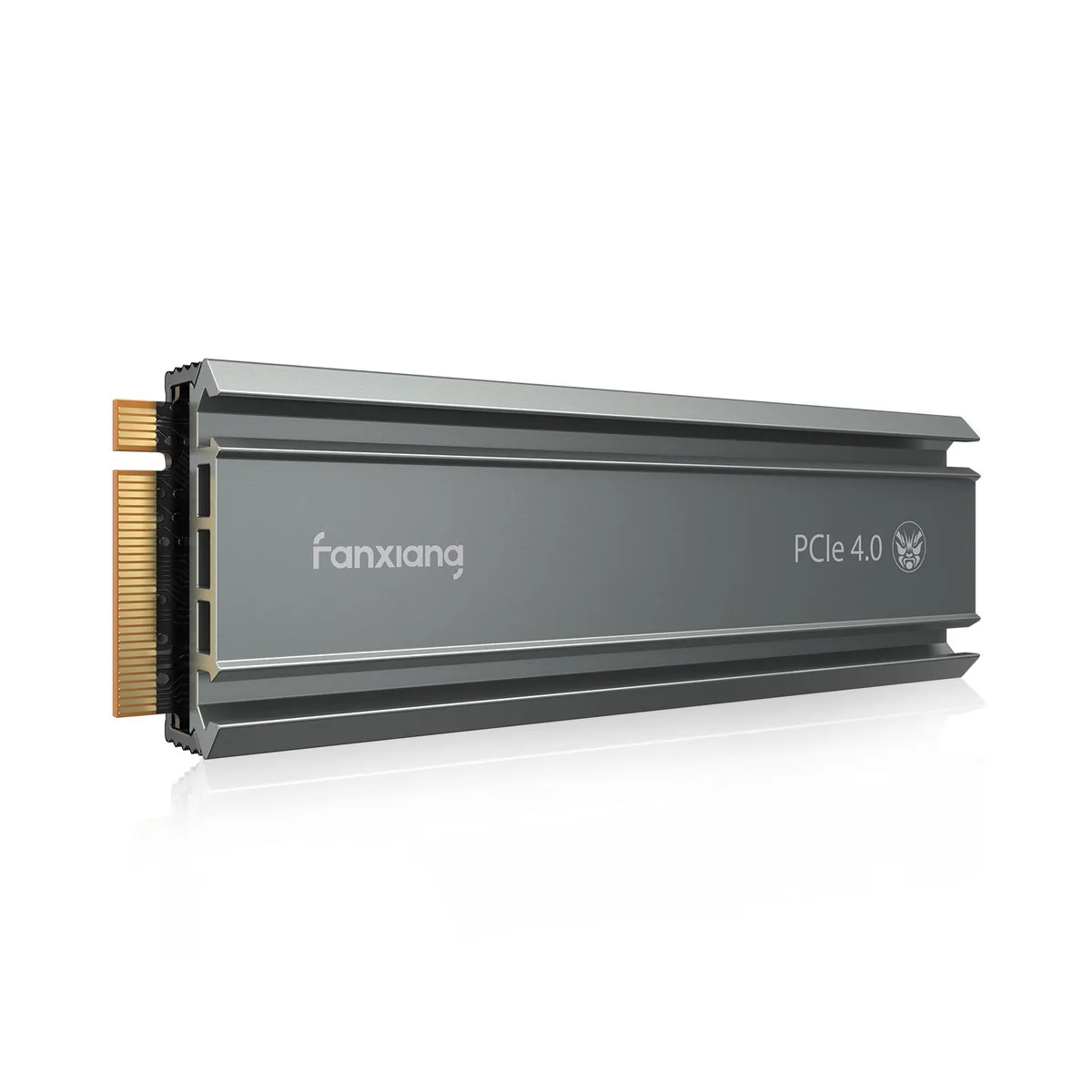 FANXIANG FANXIANG S660 1TB M.2 2280 NVMe internal SSD with Heatsink — product photo