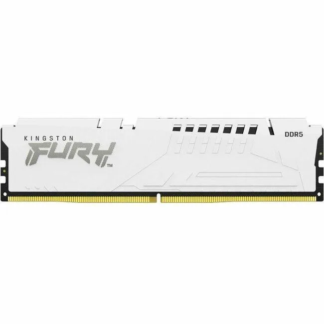 Two white DDR5 DIMMs with 288 pins and a low-profile heatsink