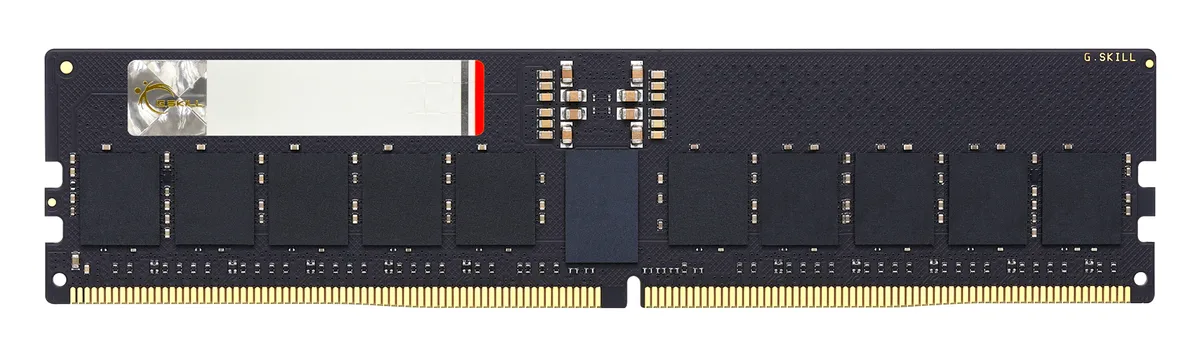 Green bare circuit board DDR5 RDIMM with black chips and gold contacts