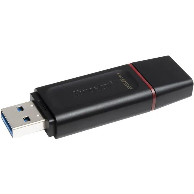 Kingston Technology Corp. Kingston Technology Corp. DTX256GB 256GB USB 3.2 Gen 1 USB flash drive — ภาพสินค้า
