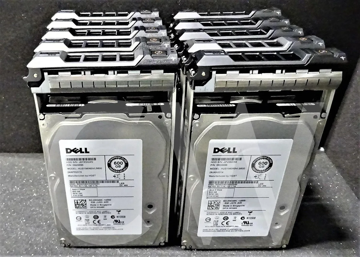 Silver 3.5 inch SAS hard drive mounted in black Dell R Series caddy tray