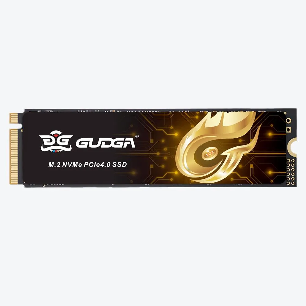 GUDGA GUDGA GXF-Q-2TB-PRO-2280 internal SSD with heatsink — photo du produit