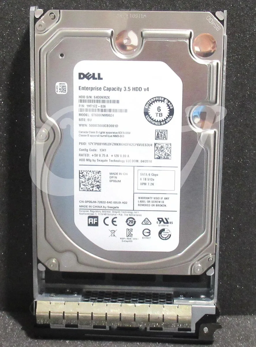 Silver 3.5 inch hard drive with black Dell caddy tray