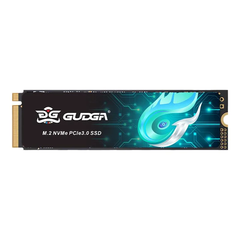 GUDGA GUDGA GVR 256GB NVMe internal SSD — product photo