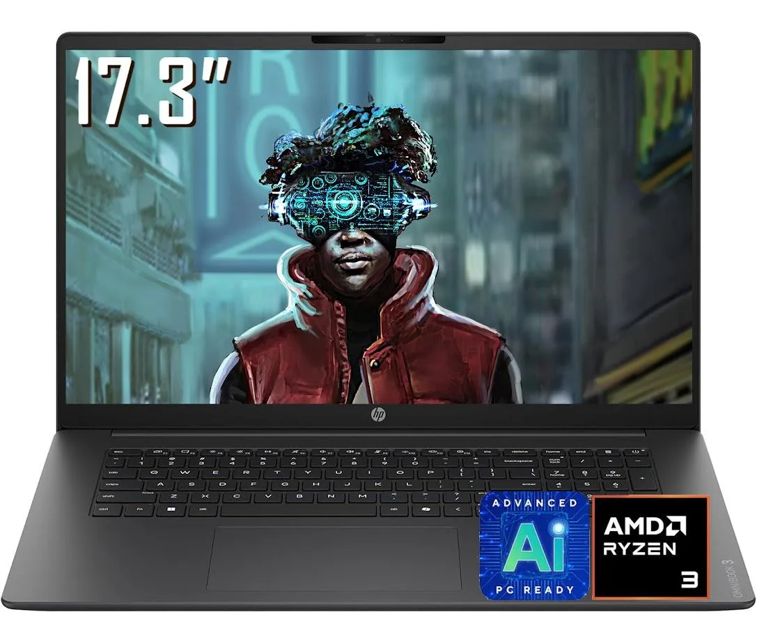 HP HP OmniBook 3 17.3" AMD Ryzen 3 30 8GB 1TB laptop — photo du produit