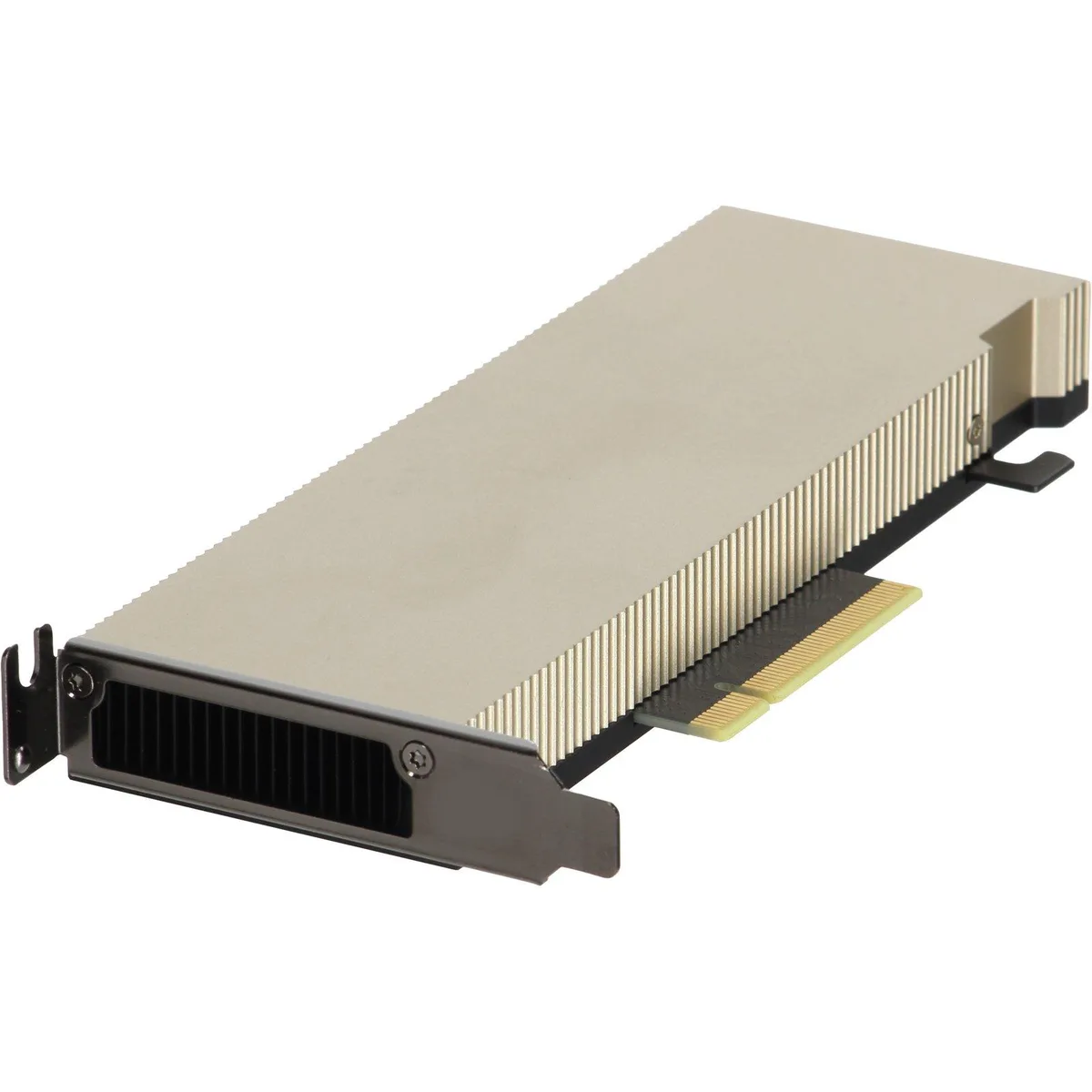 Dell NVIDIA A2 Tensor Core 16GB GDDR6 60W low-profile PCIe GPU card
